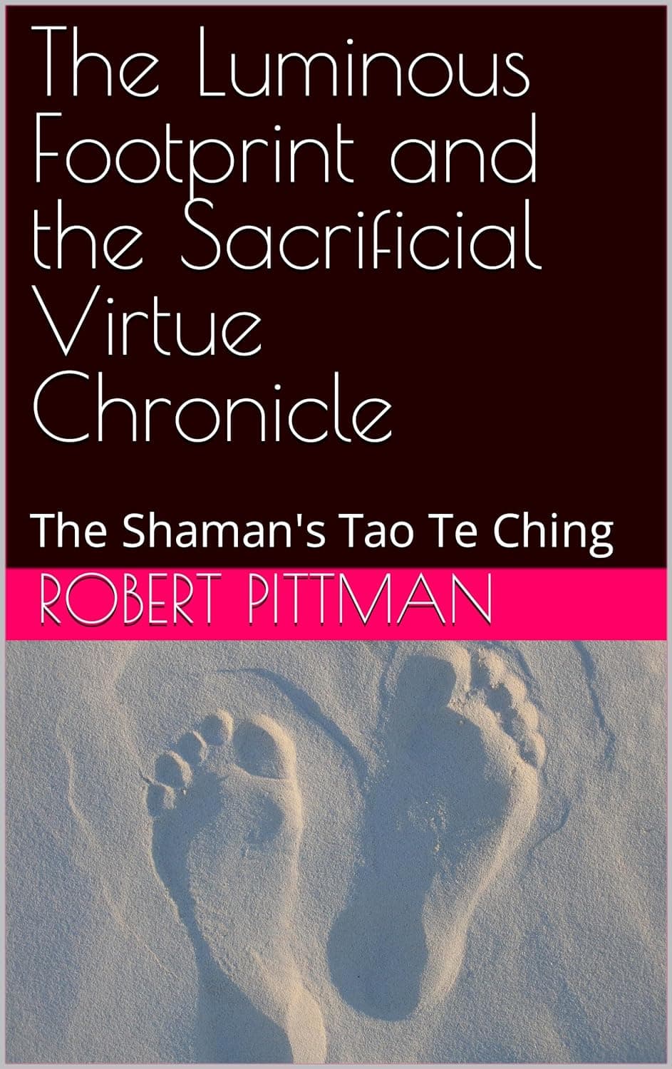 The Luminous Footprint book cover