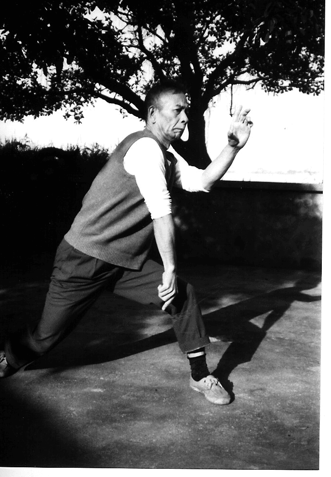 Hung I-Mien · Ba-Gua posture