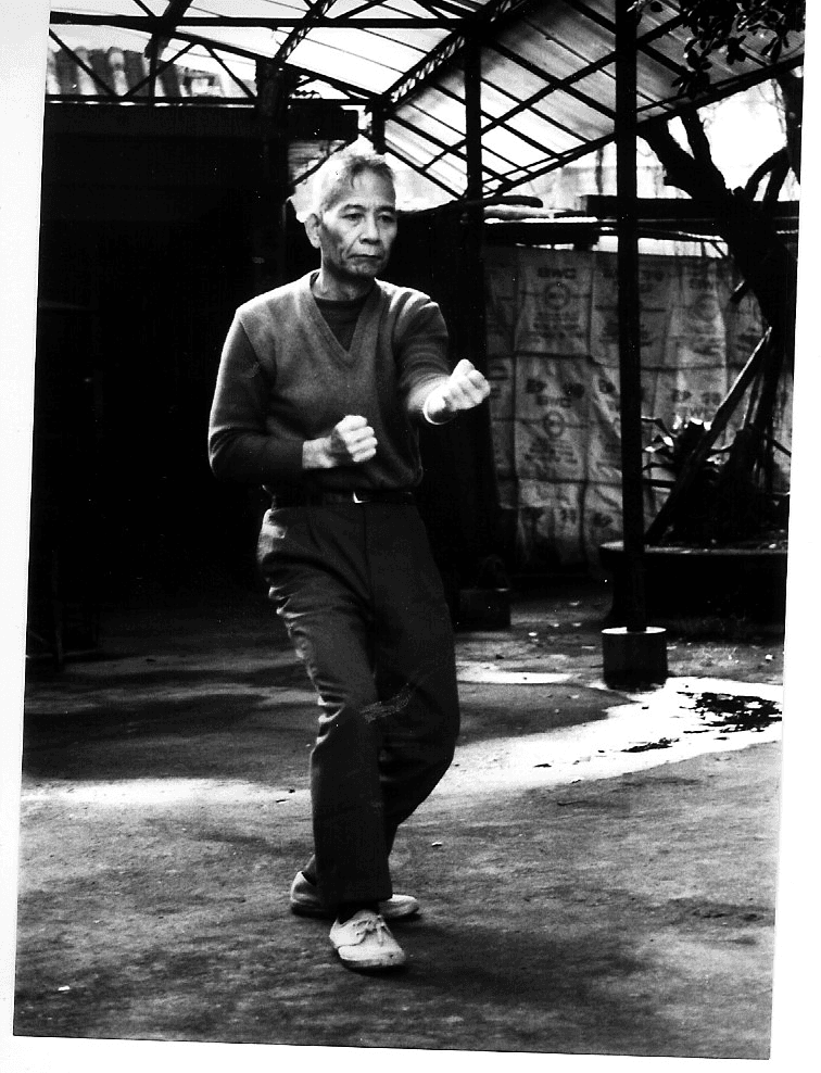 Hung I-Mien · crushing fist (Beng Chuan)