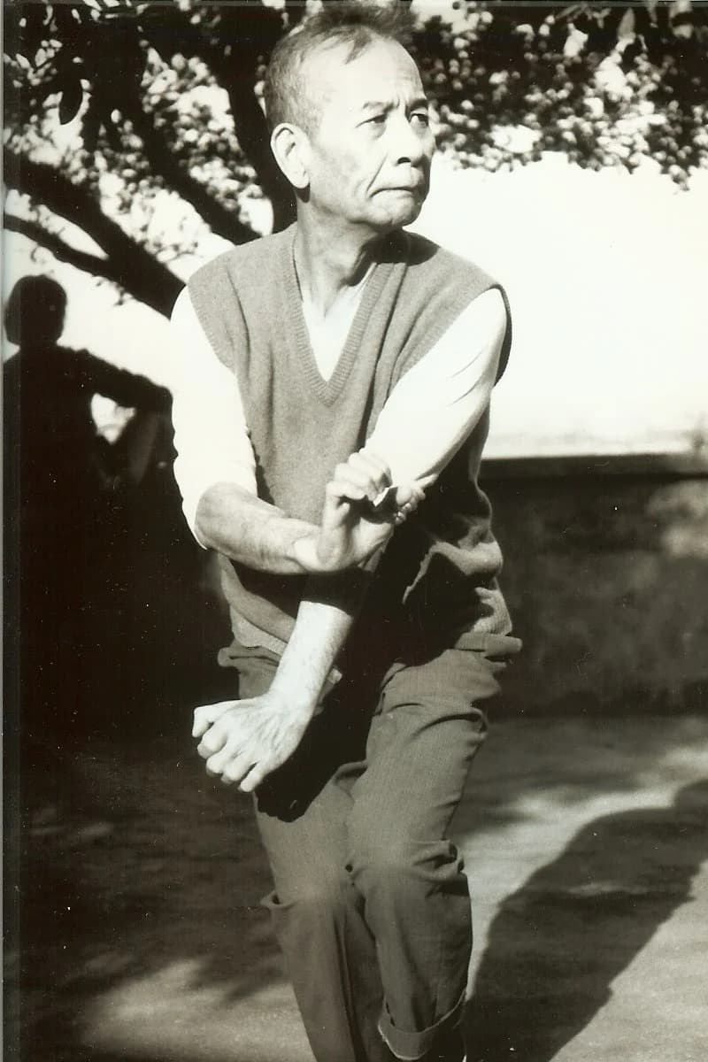 Hung I-Mien practising in a Taipei courtyard, mid-1980s
